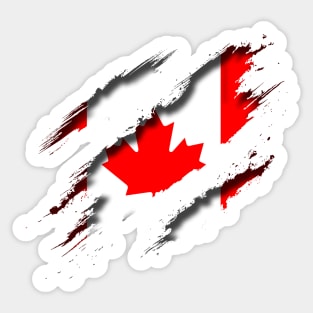 Canada Shredding Sticker